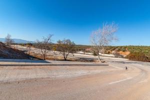 Parcela en venta en Albolote, ALBOLOTE-CORTIJO DEL AIRE photo 0