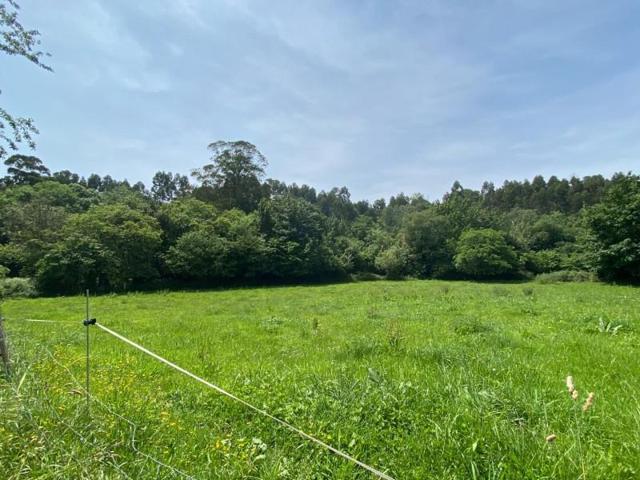 Parcela en venta en Ribadesella, Área de Ribadesella photo 0