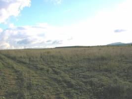 Parcela en venta en Yecla, LOS AMBROSIOS photo 0