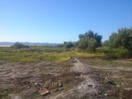 Parcela en venta en Lorca, Torrecilla photo 0