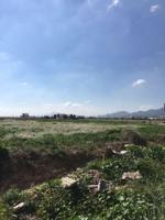 Parcela en venta en Lorca, LA HOYA photo 0