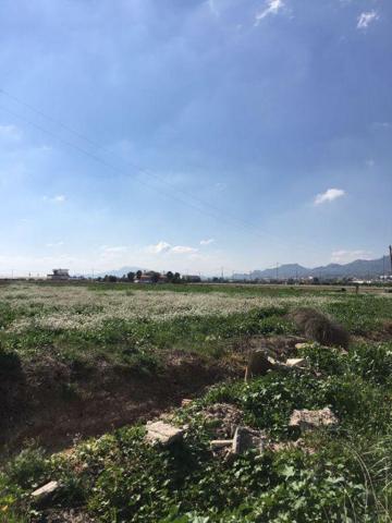 Parcela en venta en Lorca, LA HOYA photo 0