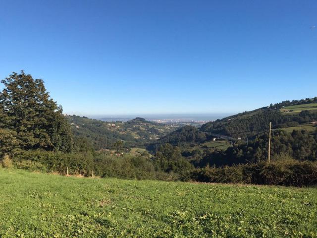 Parcela en venta en Siero, Pola de Siero photo 0