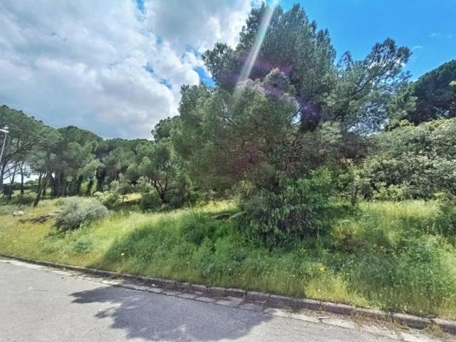 Parcela en venta en San Martín de Valdeiglesias, Costa de madrid photo 0