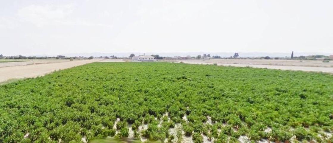 Parcela en venta en Lorca, La Hoya-Almendricos-Purias photo 0