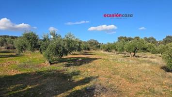 Parcela en venta en La Granjuela, La granjuela photo 0