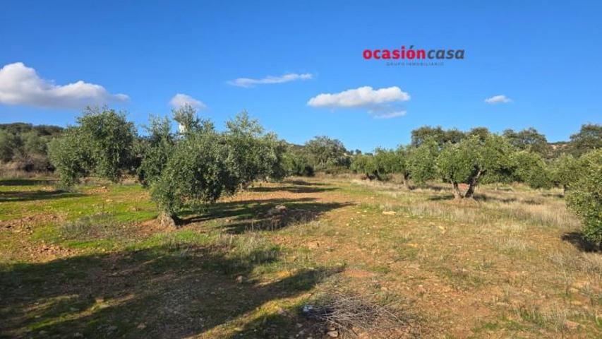 Parcela en venta en La Granjuela, La granjuela photo 0