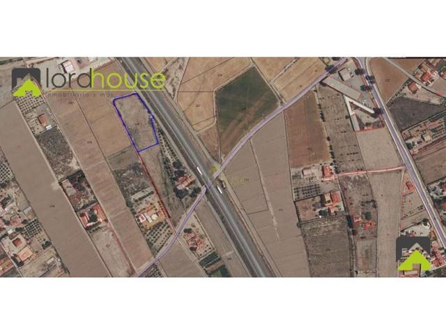 Parcela en venta en Lorca, Campillo photo 0