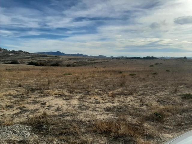 Parcela en venta en Lorca, Consejero photo 0