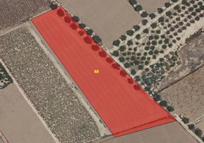 Parcela en venta en Lorca, Cazalla photo 0