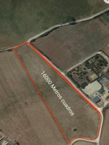 Parcela en venta en Arcos de la Frontera, Alrededores photo 0