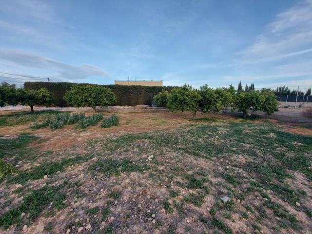 Parcela en venta en Las Torres de Cotillas, Zona neutra photo 0
