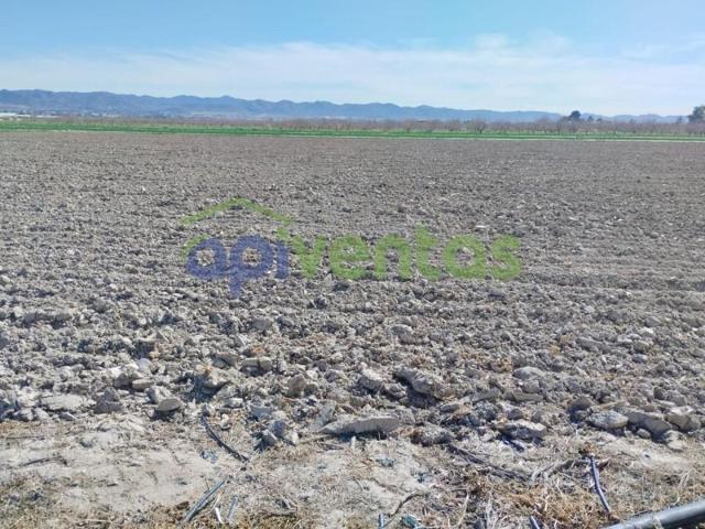 Parcela en venta en Lorca, La Hoya-Almendricos-Purias photo 0