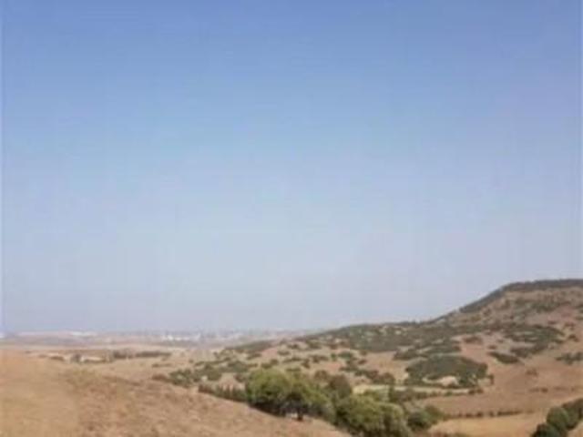 Parcela en venta en Vejer de la Frontera, Patria photo 0