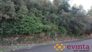Parcela en venta en Vallirana, Selva negra photo 0