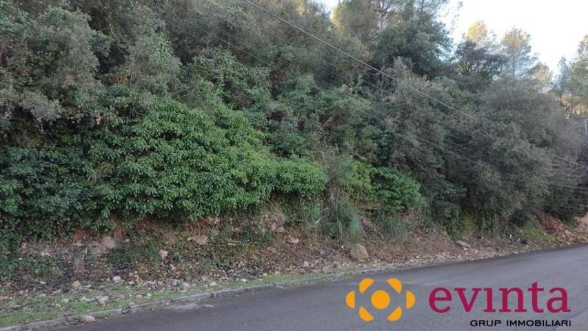 Parcela en venta en Vallirana, Selva negra photo 0
