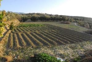 Terreno en venta en Otura, Vega de granada zona sur photo 0