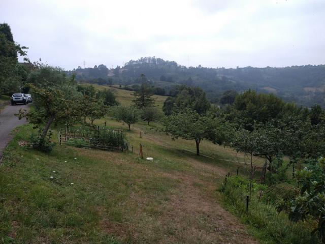 Parcela en venta en Gijón, Periferia - La Pedrera photo 0