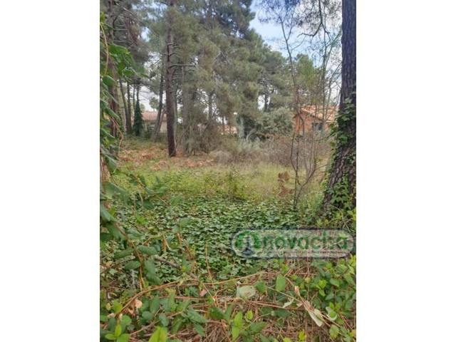 Parcela en venta en Cadalso de los Vidrios photo 0