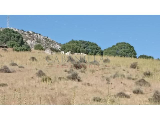 Parcela en venta en Casares, Casares Pueblo photo 0