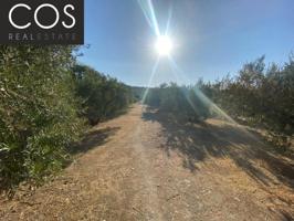 Parcela en venta en Jaén, Urbanizacion azahar photo 0