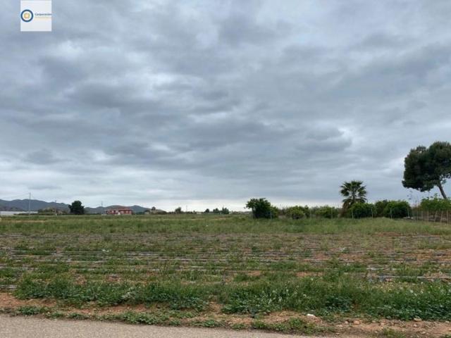 Parcela en venta en Lorca, La Escucha photo 0