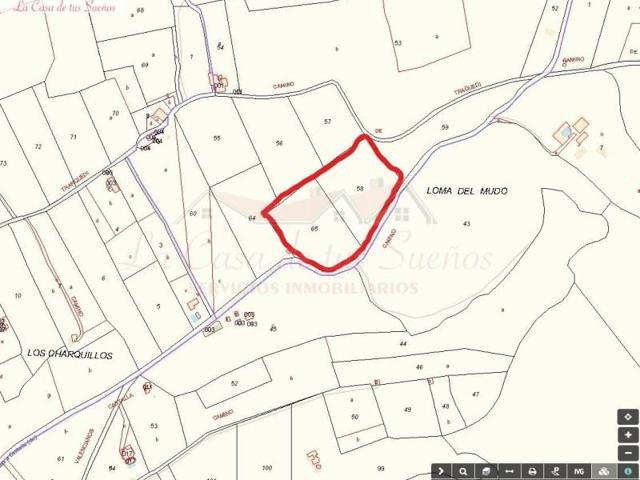 Parcela en venta en Sax photo 0