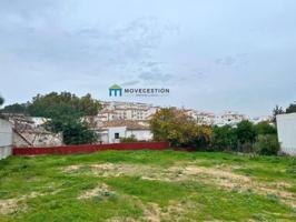 Parcela en venta en Prado del Rey, Andalucia photo 0