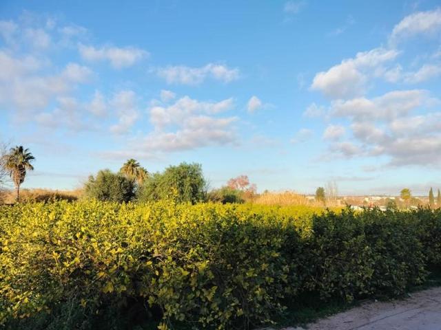 Casa en venta en Murcia, Rincón de Seca photo 0
