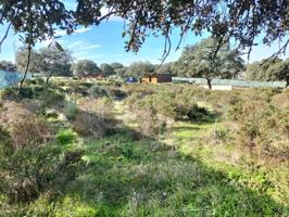 Parcela en venta en Castilblanco de los Arroyos, Urb sierra norte photo 0