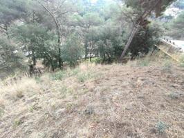 Parcela en venta en Argentona, Urb. les ginesteres photo 0