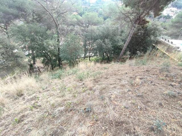 Parcela en venta en Argentona, Urb. les ginesteres photo 0