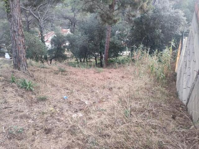 Parcela en venta en Argentona, Urb. les ginesteres photo 0