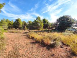 Parcela en venta en Náquera photo 0