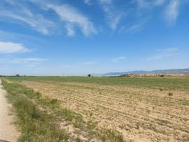 Parcela en venta en Librilla, Las lentiscosas photo 0