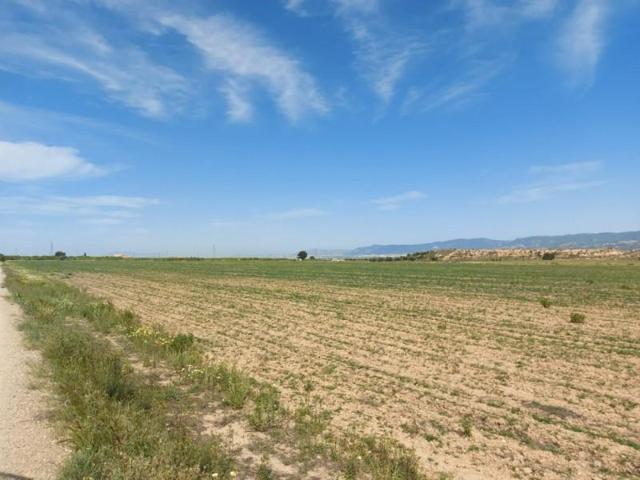 Parcela en venta en Librilla, Las lentiscosas photo 0