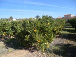 Parcela en venta en Bétera, Urbanizacion La Conarda photo 0