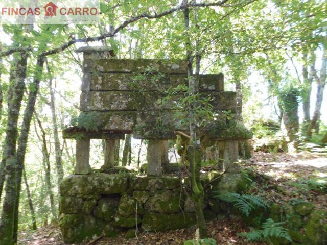 Parcela en venta en Cotobade, Cotobade photo 0