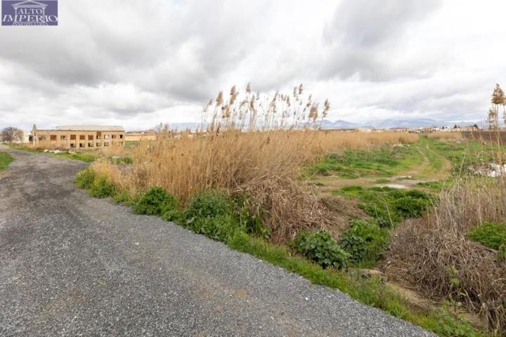 Parcela en venta en Chauchina, Zona aeropuerto photo 0