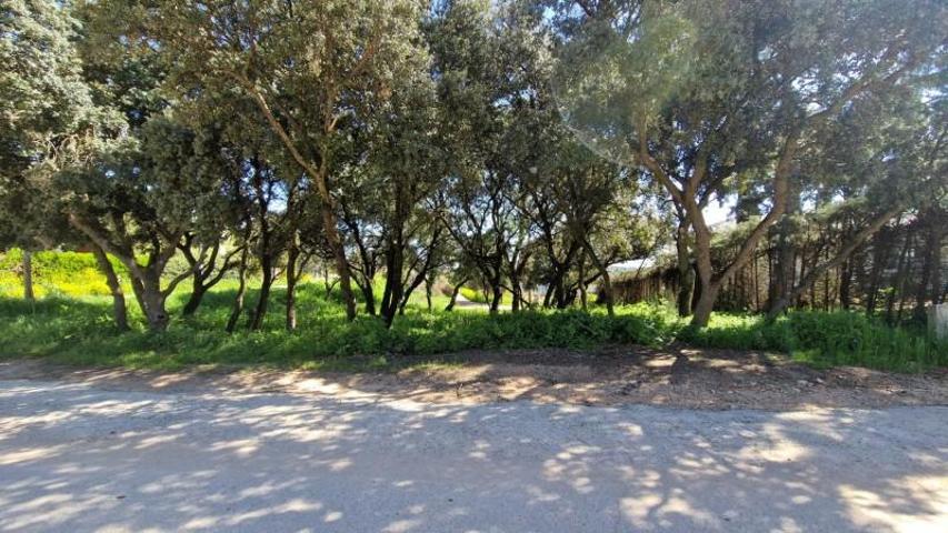 Parcela en venta en Nuevo Baztán, Eurovillas photo 0