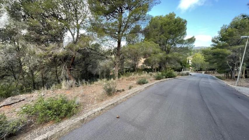 Parcela en venta en Borriol, Urbanizacion La Coma photo 0