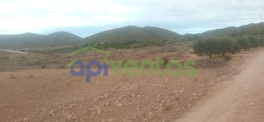 Parcela en venta en Lorca, Purias photo 0