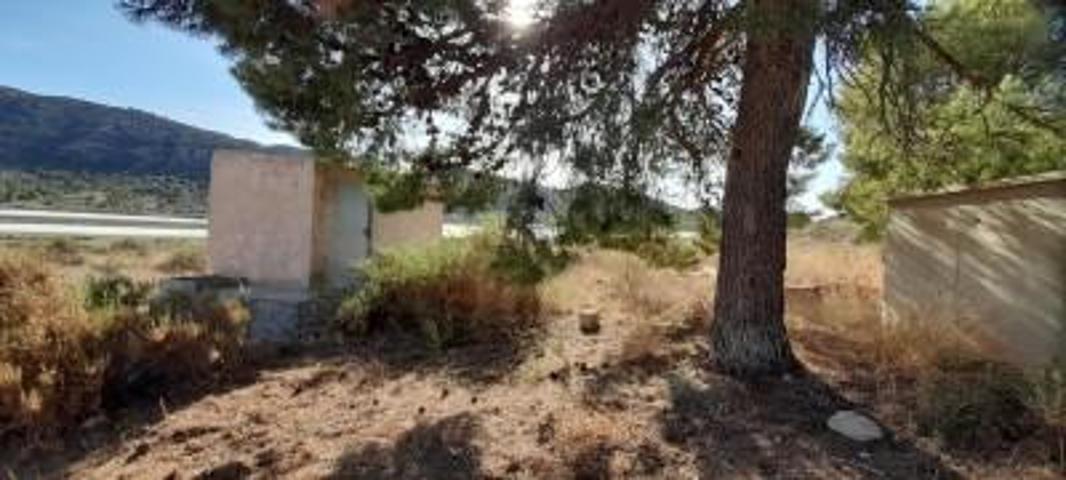 Parcela en venta en Novelda, Ctra. novelda-agost photo 0