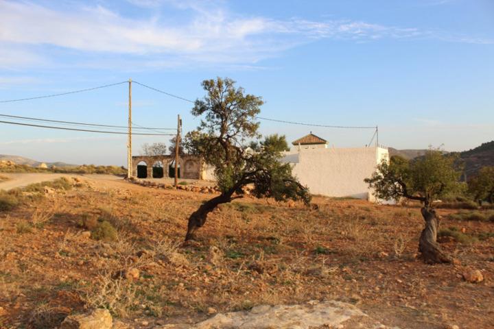 Parcela en venta en Félix, V jitar photo 0