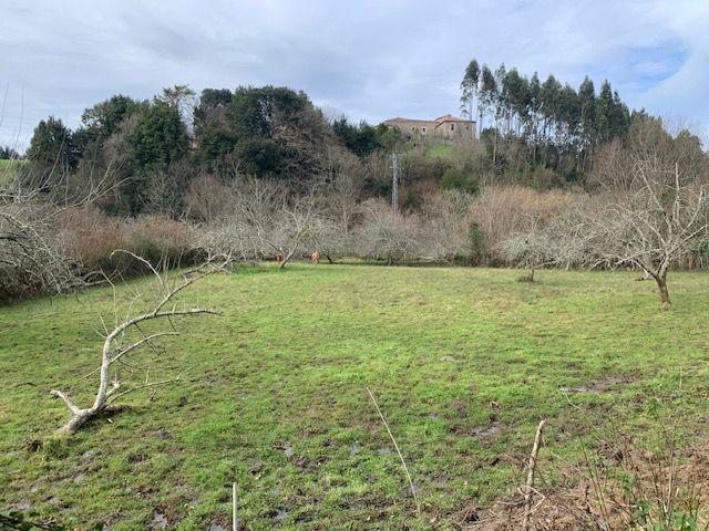 Parcela en venta en Colunga, Lorone photo 0