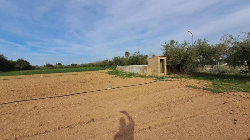 Parcela en venta en Reus, Aigüesverds photo 0