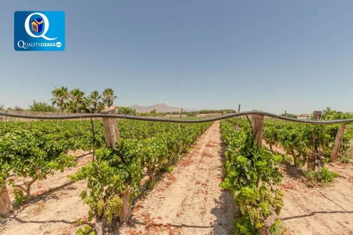 Parcela en venta en Novelda, Novelda photo 0