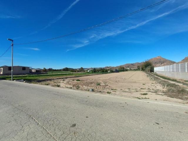 Parcela en venta en El Esparragal, Esparragal (El) photo 0