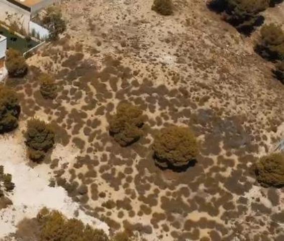 Parcela en venta en Las Torres de Cotillas, Las torres de cotillas photo 0