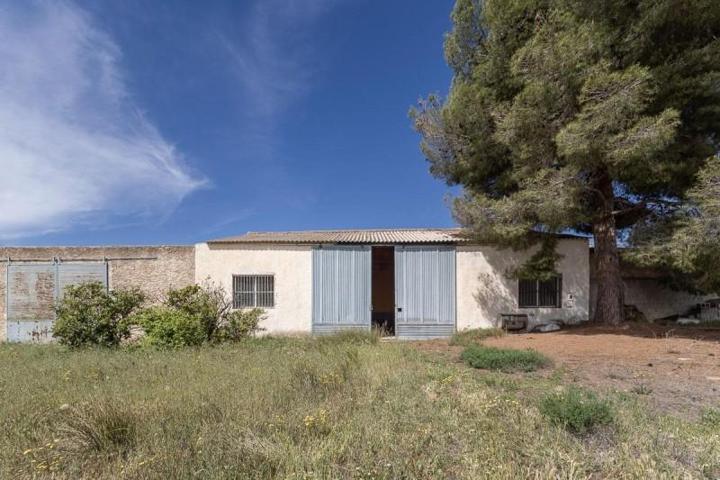 Parcela en venta en Pedro Martínez, Andalucia photo 0